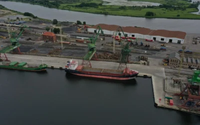 Bulk Cargo – Port Szczecin dąży do połączenia sił z Grupą Rhenus